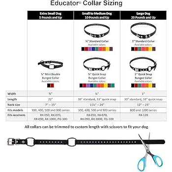 Bungee Collar Z173