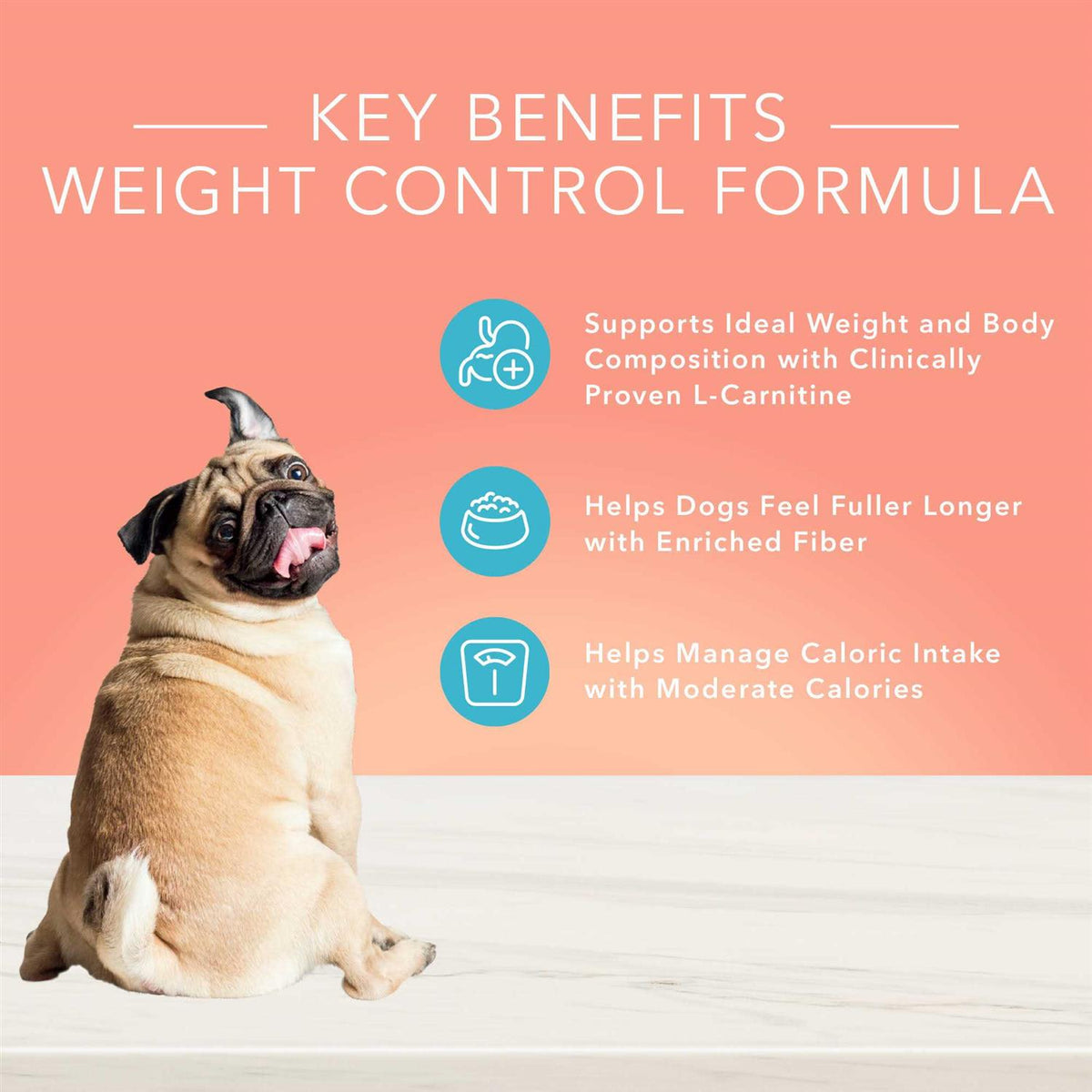 Blue Buffalo True Solutions Fit & Healthy Weight Control Dog Food I2797