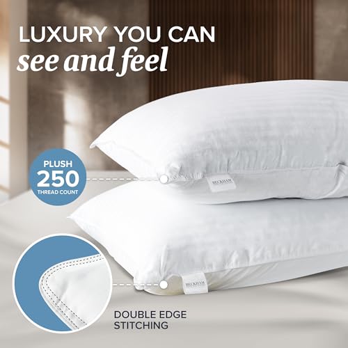 Queen Size Memory Foam Bed Pillows Set of 2 F428
