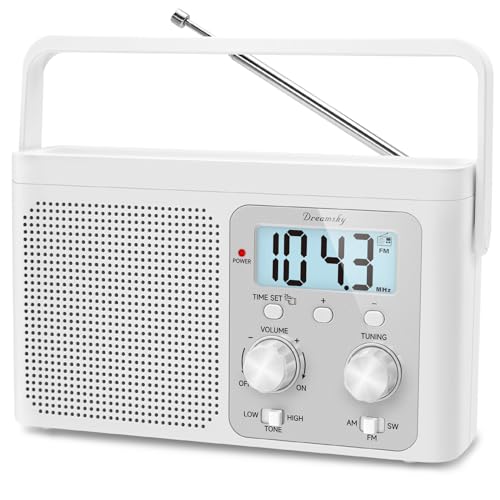 AM FM Shortwave Radio F766