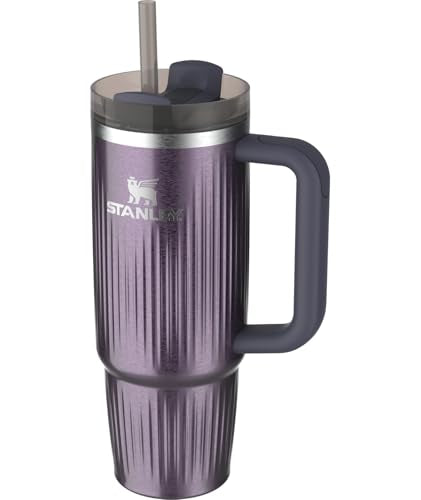 30 oz Insulated Stainless Steel Tumbler with Handle and Straw F916683