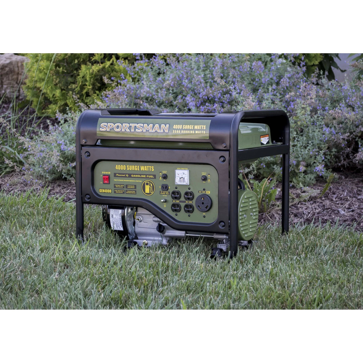 4000W Portable Generator Q90840