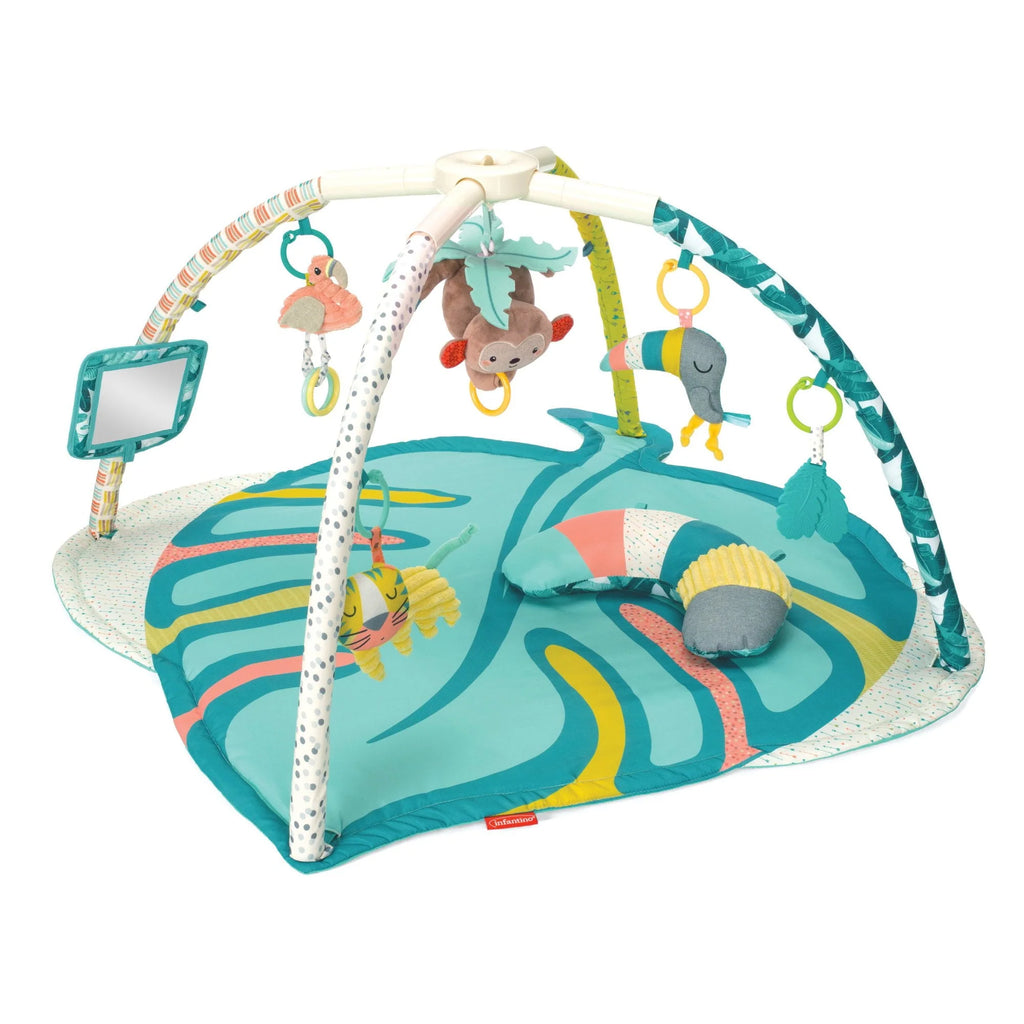 4-in-1 Activity Gym & Play Mat W610