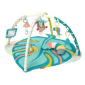 4-in-1 Activity Gym & Play Mat W610