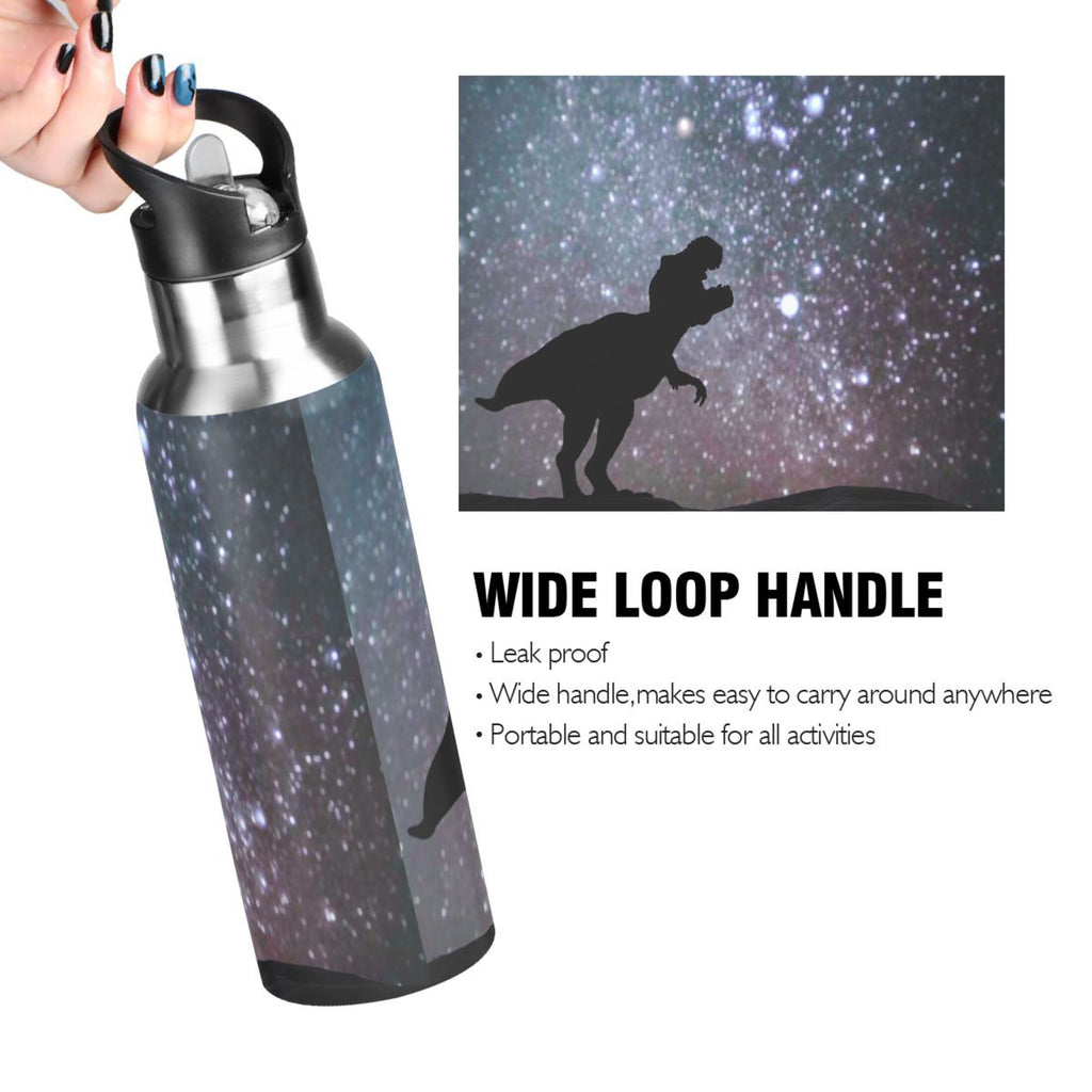Stainless Steel Water Bottle with Straw Lid 20 OZ G151