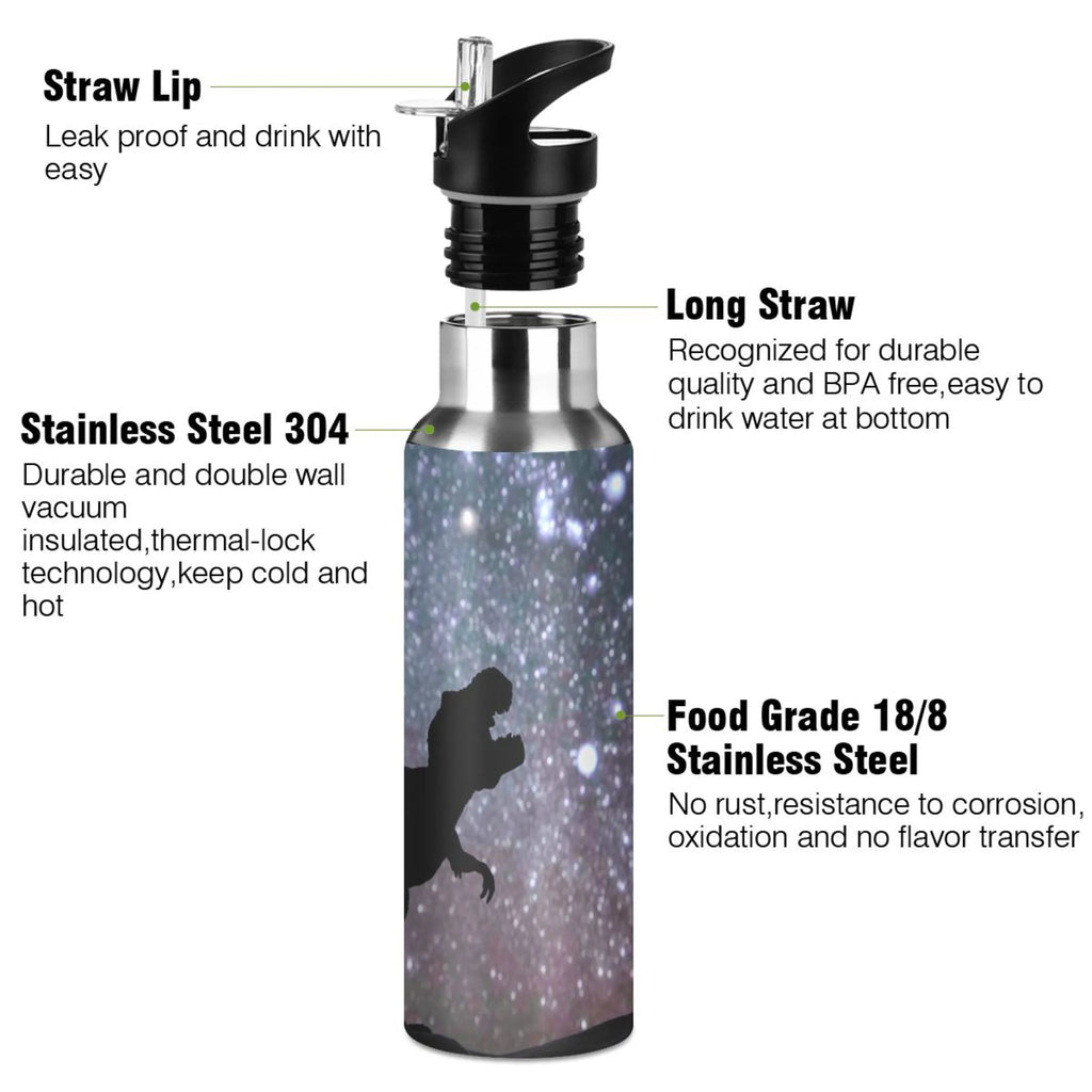 Stainless Steel Water Bottle with Straw Lid 20 OZ G151