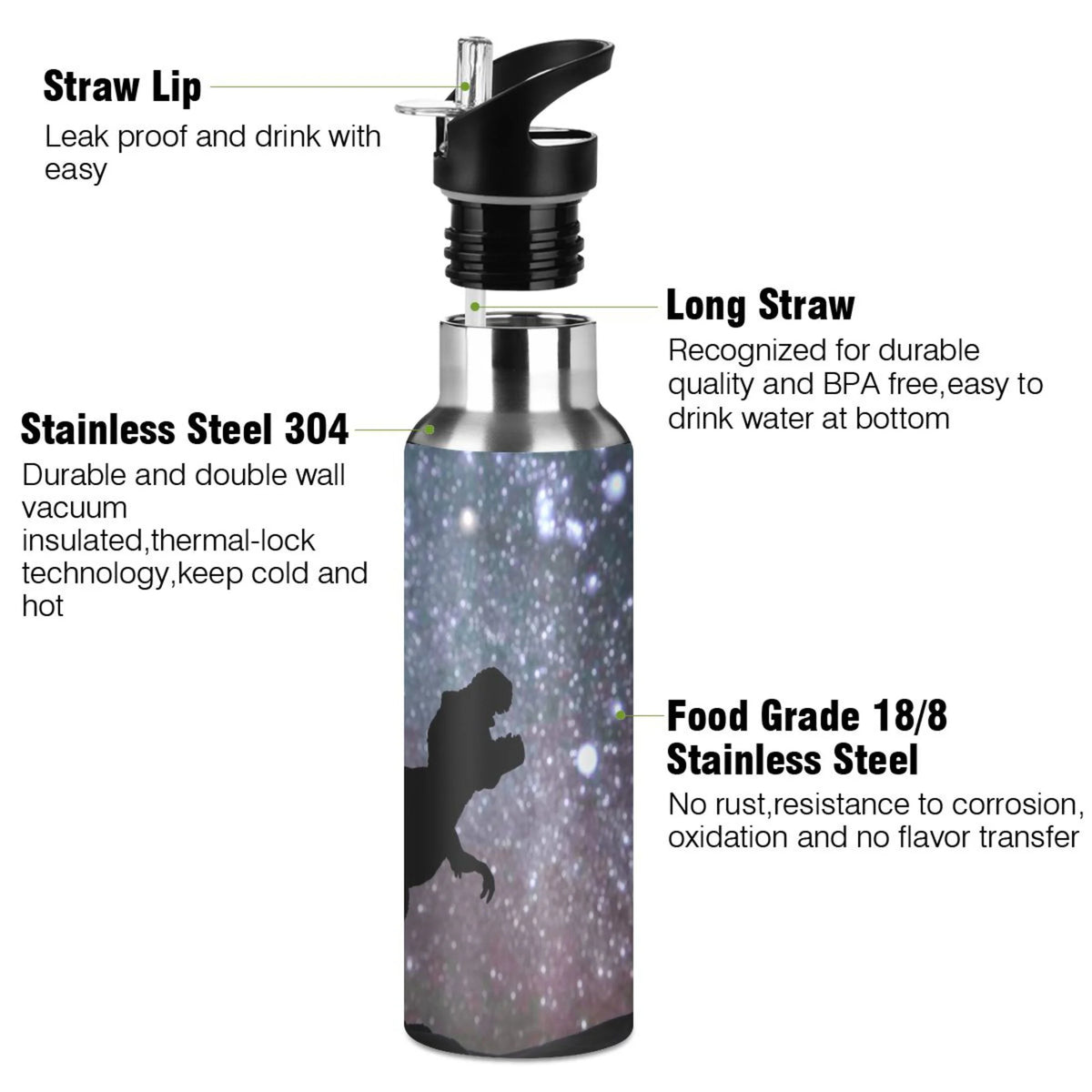 Stainless Steel Water Bottle with Straw Lid 20 OZ G151