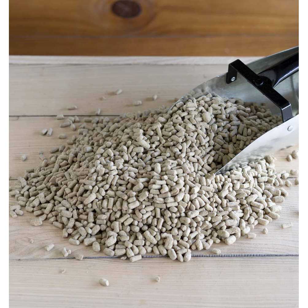 Rice Bran Z5326