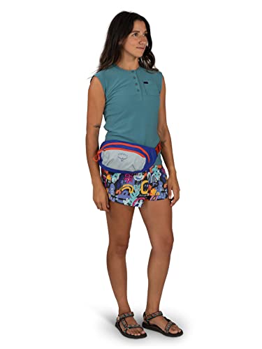 Daylite Waist Pack Q53023