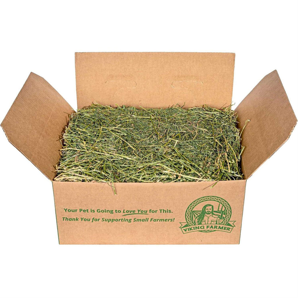 Alfalfa Hay for Rabbits & Small Pets Y918