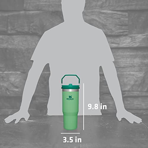 Stainless Steel Vacuum Insulated Tumbler with Straw A32817