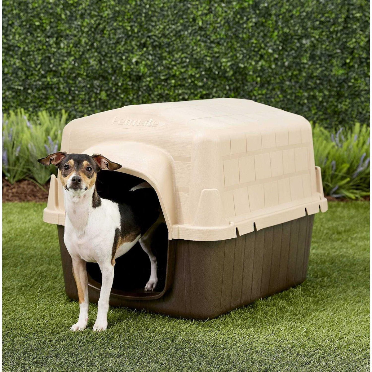 Dog House K3680