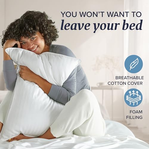 Queen Size Memory Foam Bed Pillows Set of 2 F428