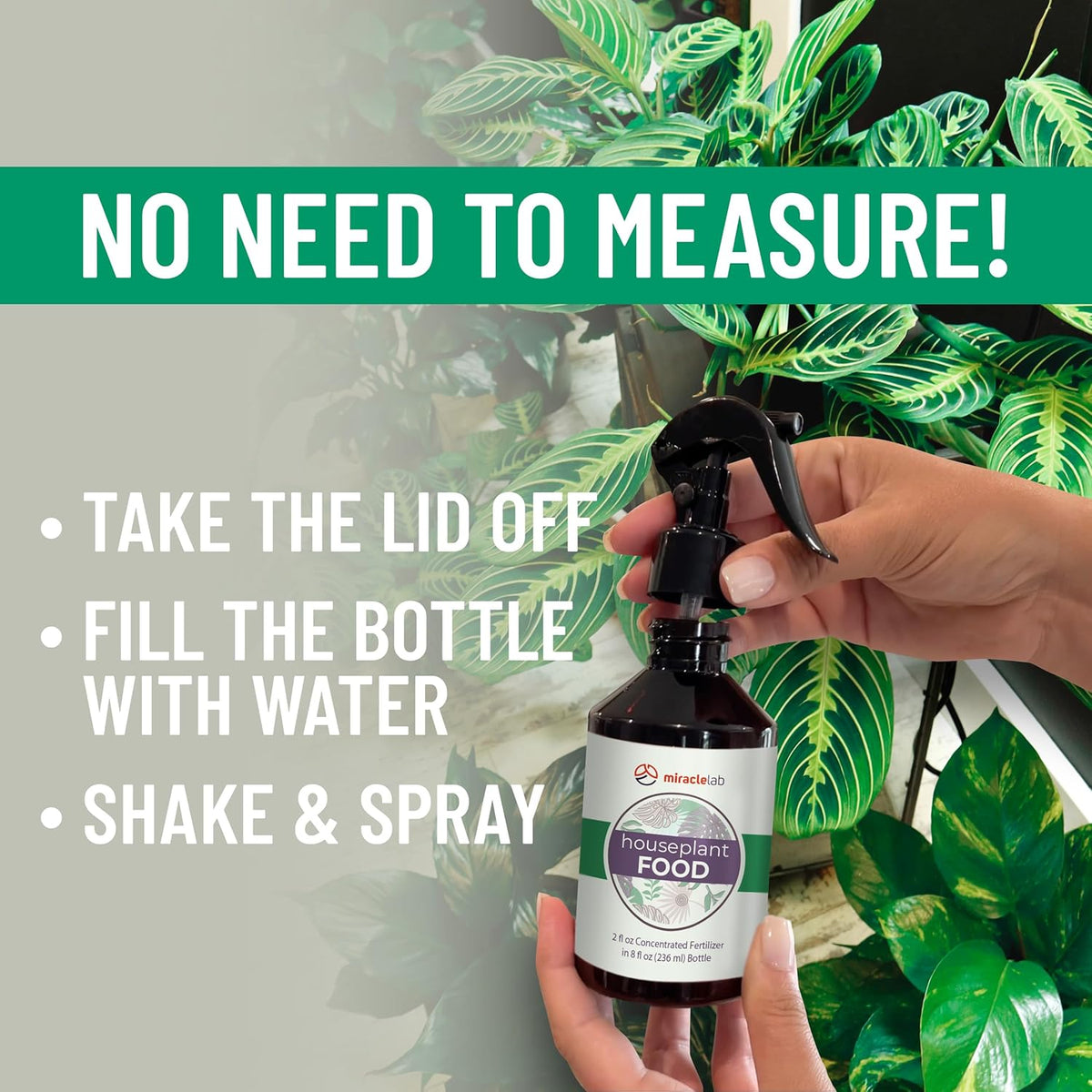 2 oz Concentrated All Purpose Indoor Plant Food Q93127