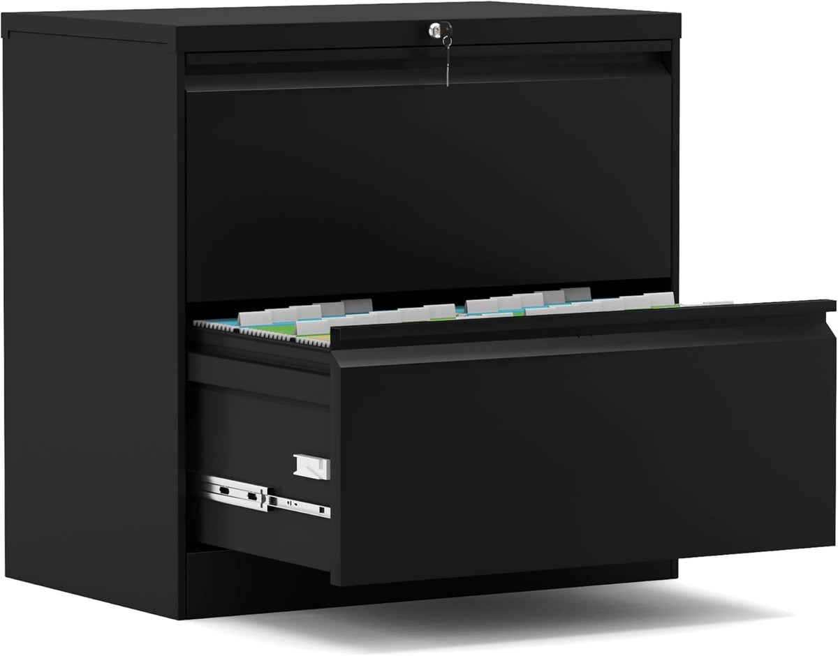 2 Drawer Metal File Cabinet with Lock N31113