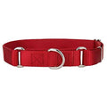 Nylon Martingale Dog Collar W5636