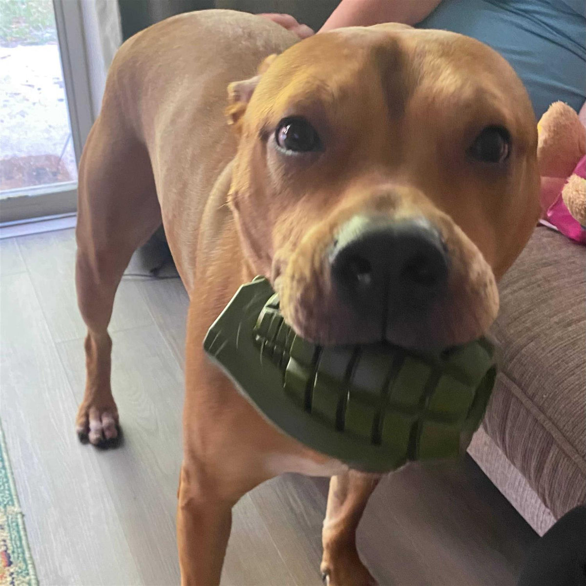 Grenade Dog Toy B894015