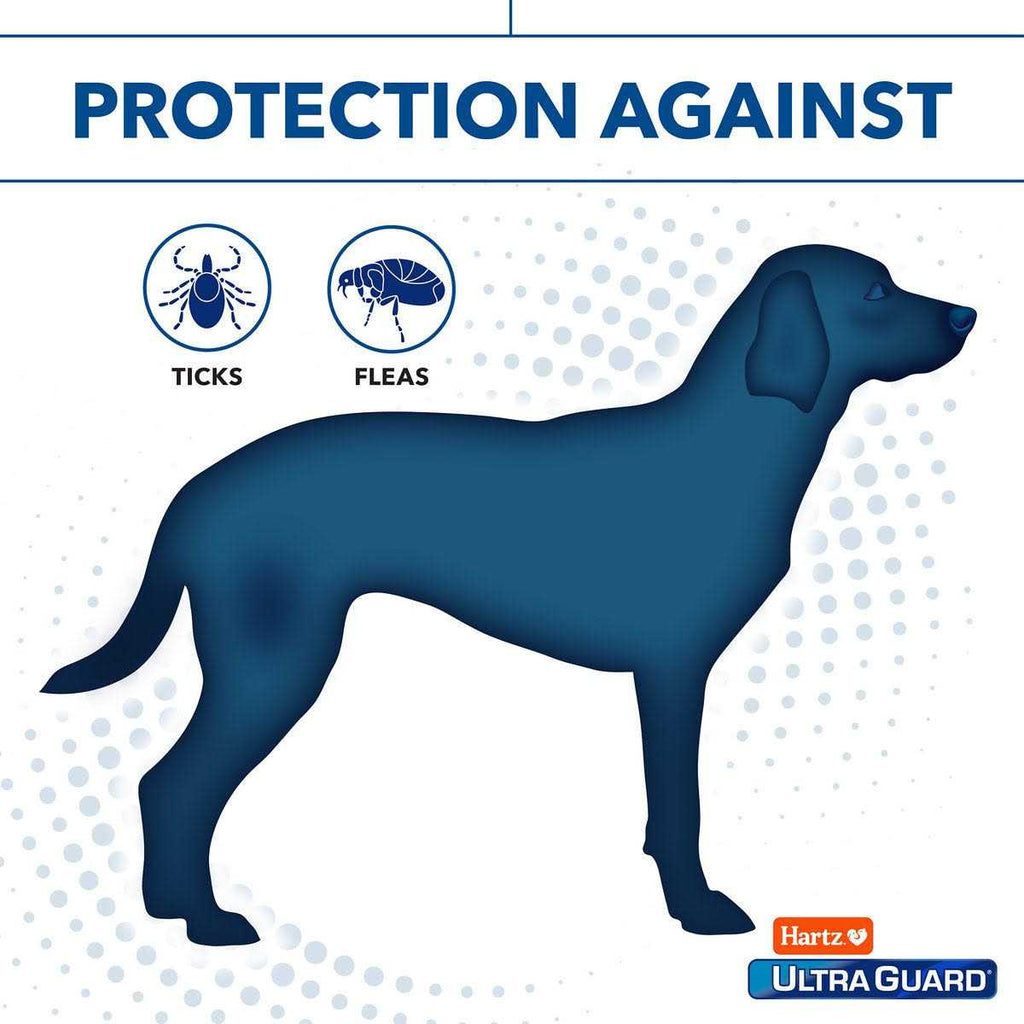 Citrus Flea & Tick Shampoo E3381