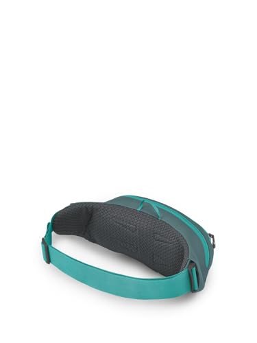 Daylite Waist Pack Q53023