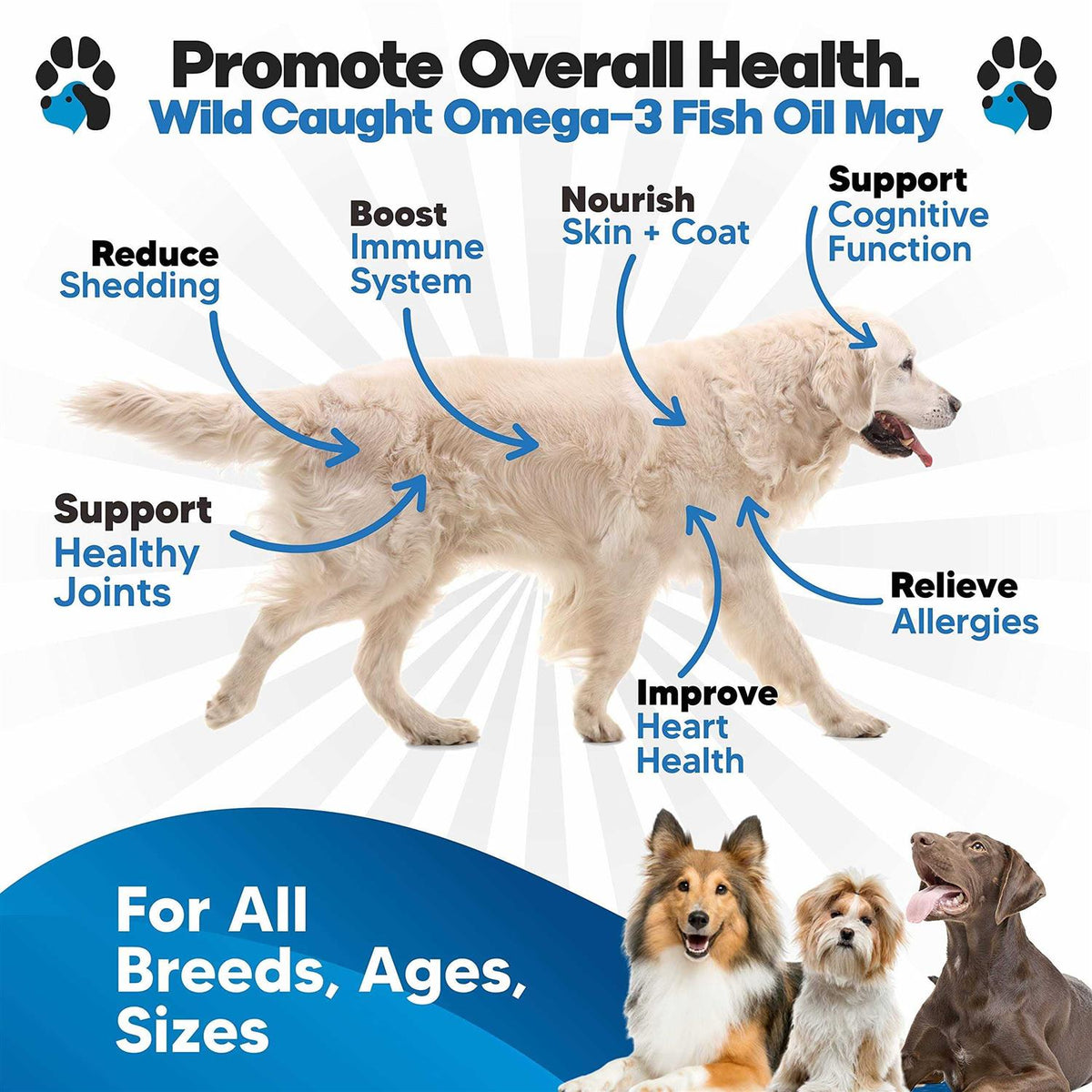 Omega 3 Fish Oil for Dogs W777279
