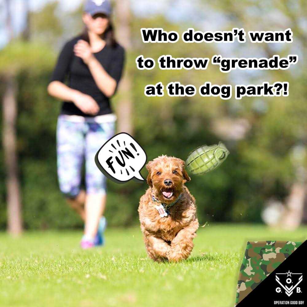 Grenade Dog Toy B894015