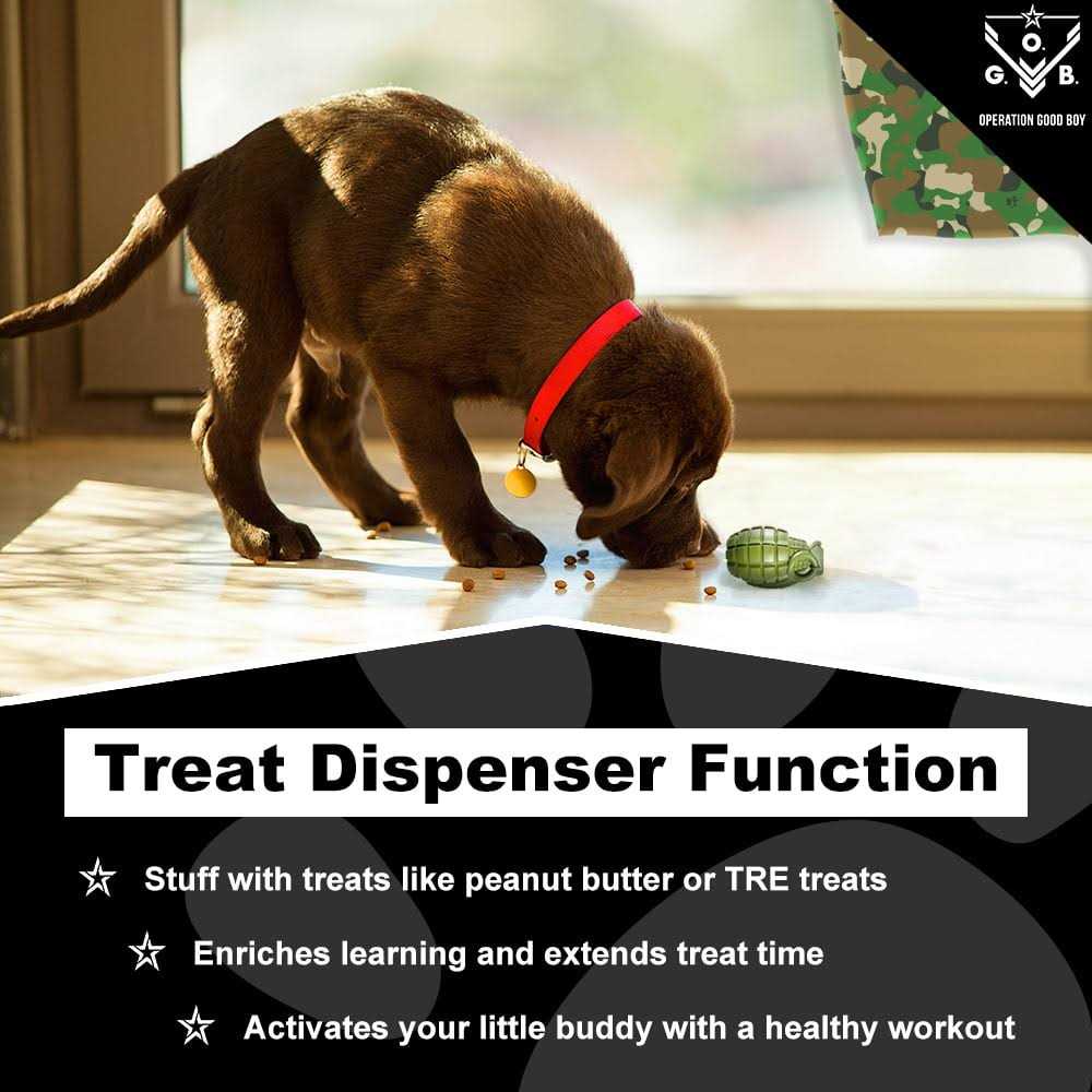 Grenade Dog Toy B894015