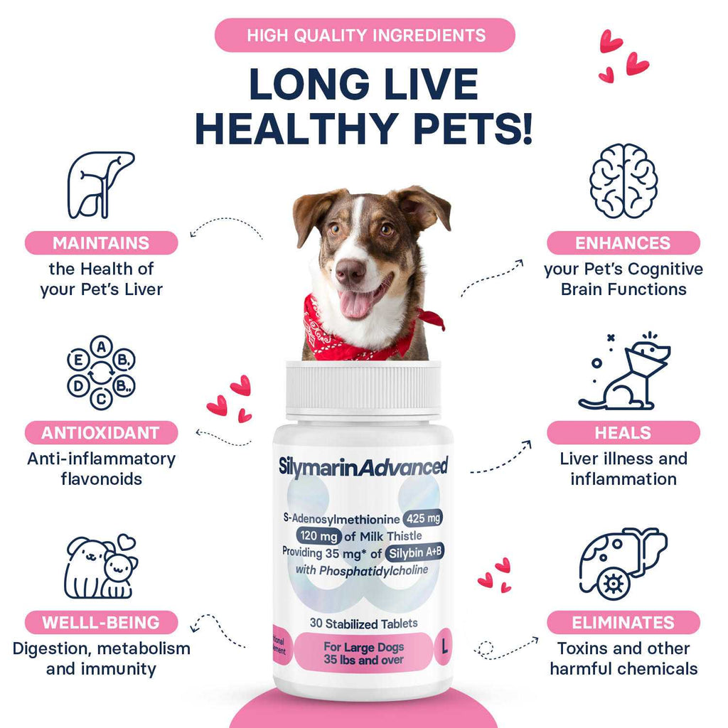Dogs and 30 tablets R653