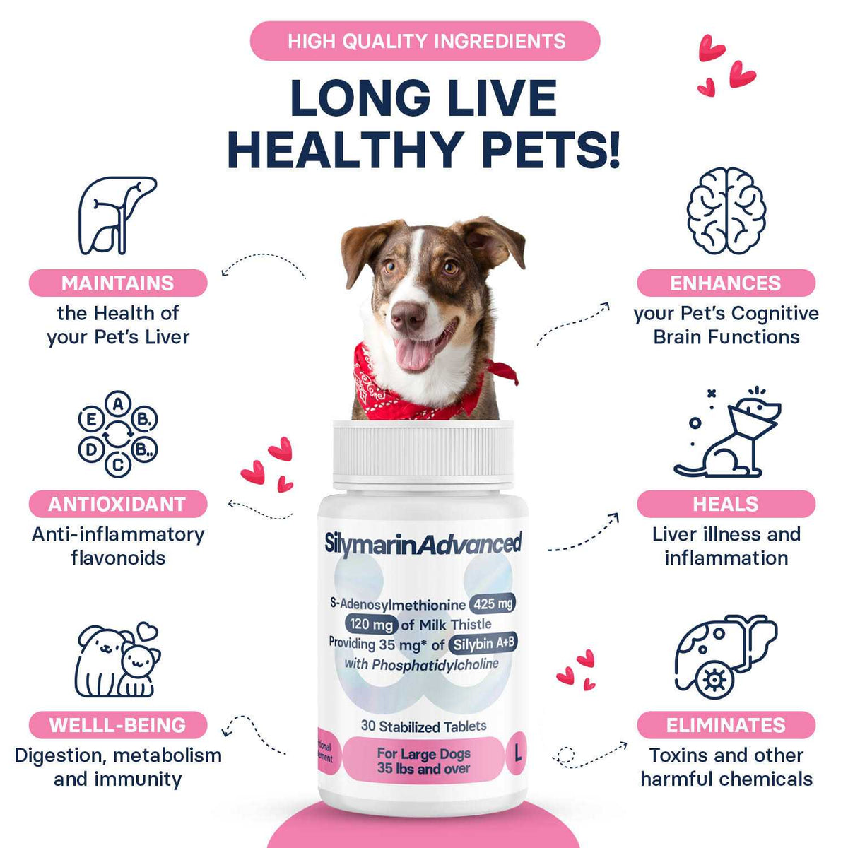 Dogs and 30 tablets R653