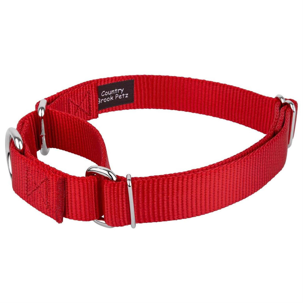 Nylon Martingale Dog Collar W5636