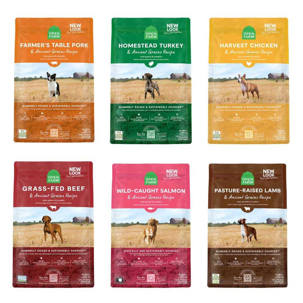 Turkey Ancient Grains Dry Dog Food A931