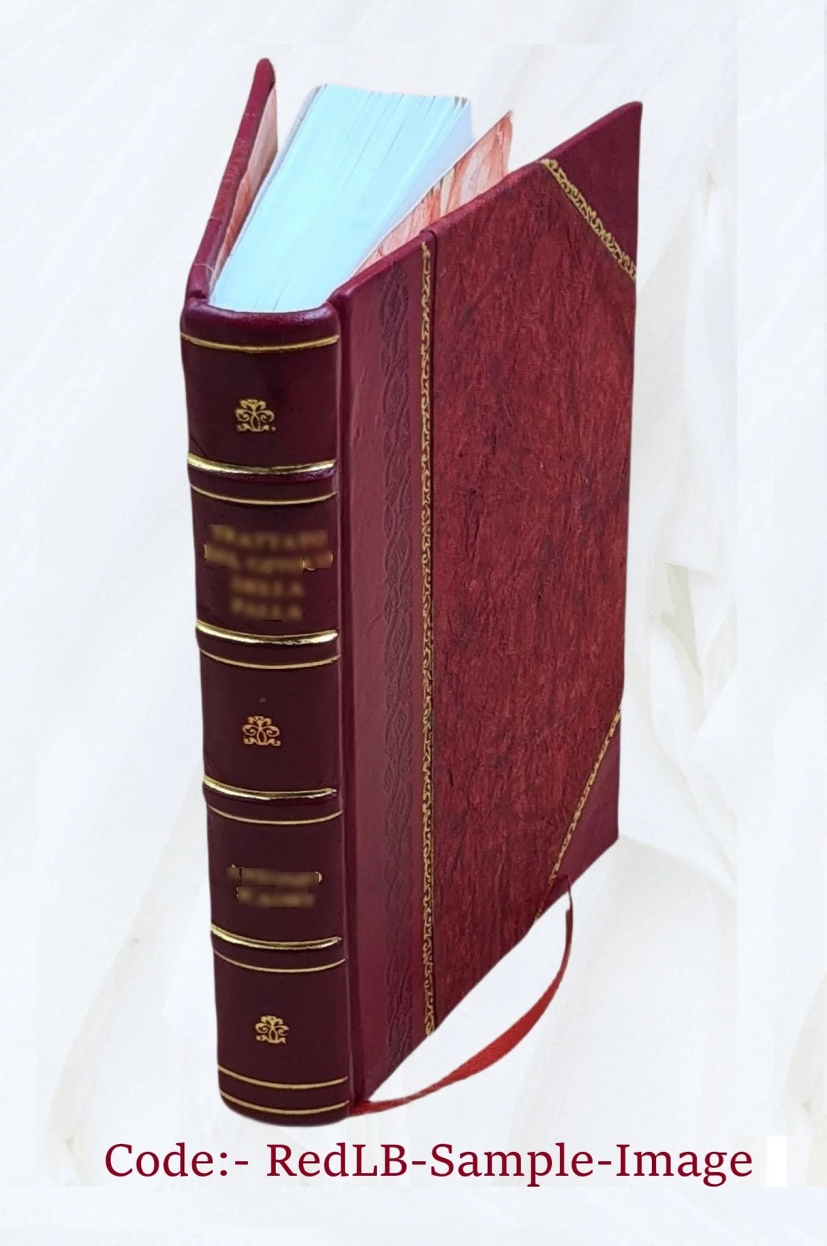 Hamburgs im neunzehnten Jahrhundert Leather Bound J2489