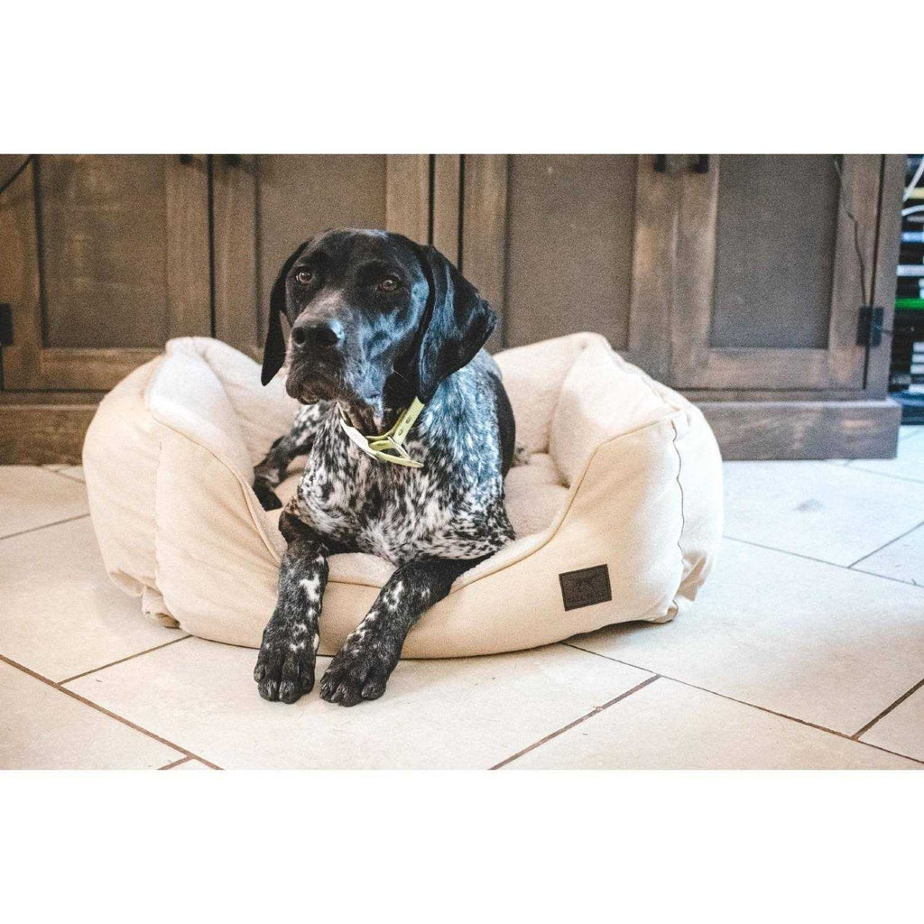 Bolster Bed Y314753