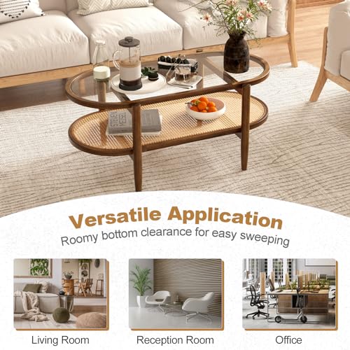 Black 2-Tier Oval Rattan Coffee Table with Tempered Glass T256