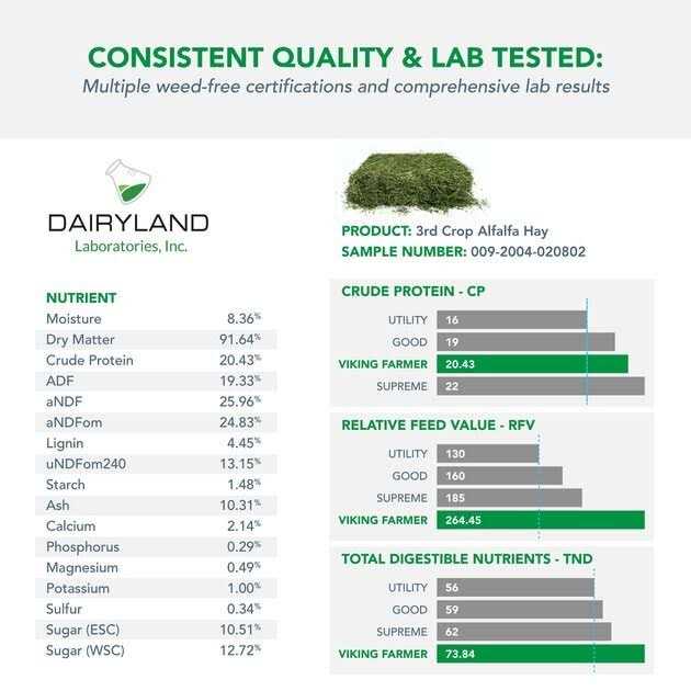 Alfalfa Hay for Rabbits & Small Pets Y918