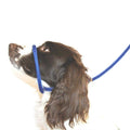 Anti Pull Dog Leash Halter Head Collar One Size Fits All Z80530