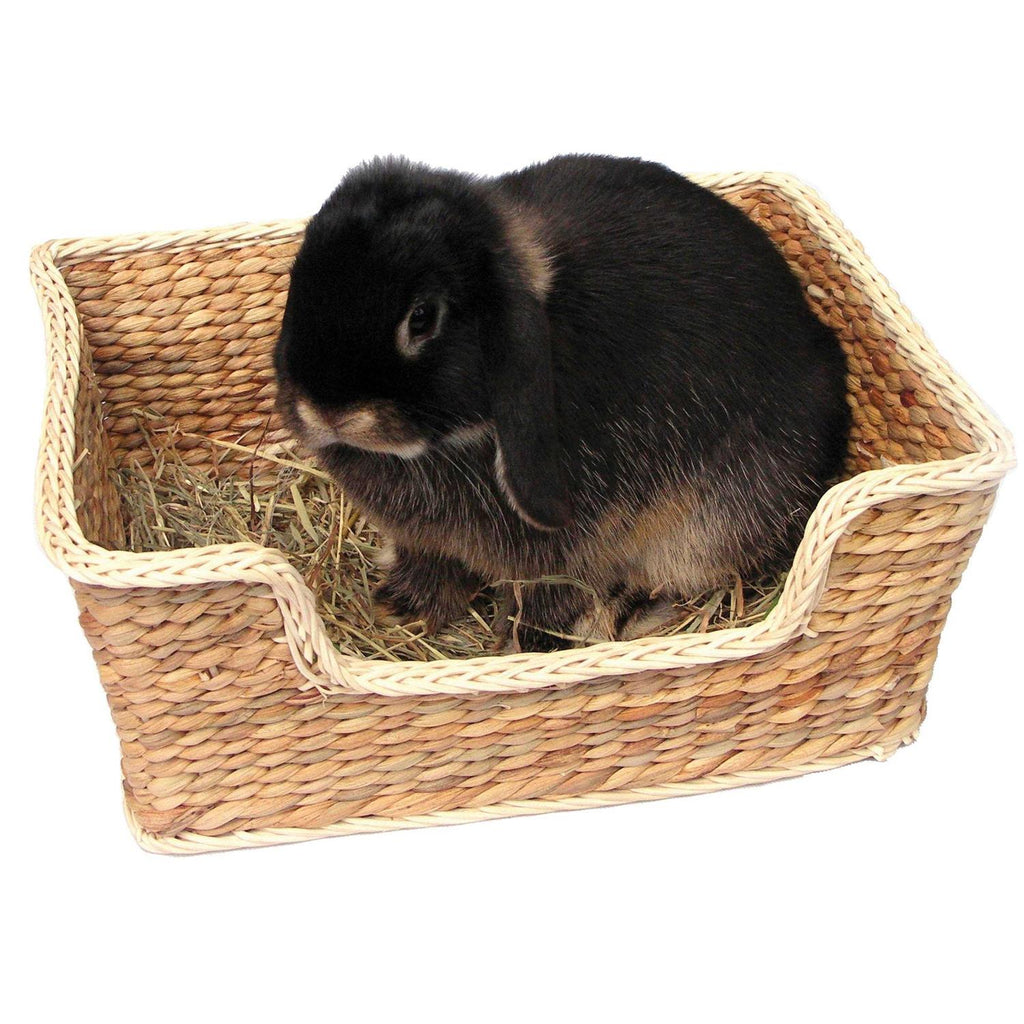 Small Pet Bed L5492