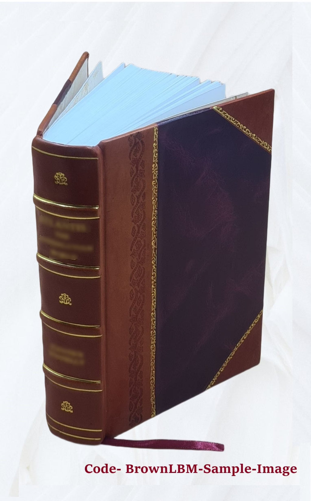 Westward ho! or, The voyages and adventures of Sir Amyas Leigh, knight of Burrough, in the county of Devon, in the reign of Her Most Glorious Majesty, Queen Elizabeth, rendered int P6482