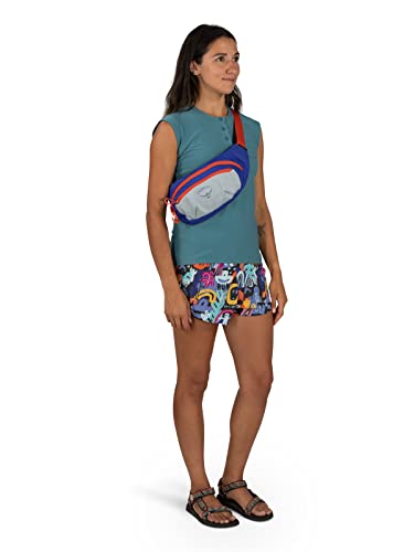 Daylite Waist Pack Q53023