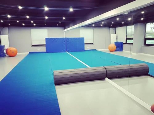 Indoor Gymnastics Track Exercise Mat with Grippy Gym Carpet Top - Sturdy Foam Wrestling Mat R3601