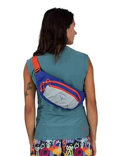 Daylite Waist Pack Q53023