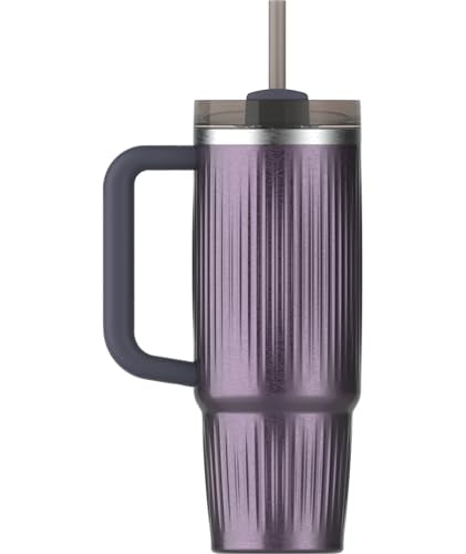30 oz Insulated Stainless Steel Tumbler with Handle and Straw F916683