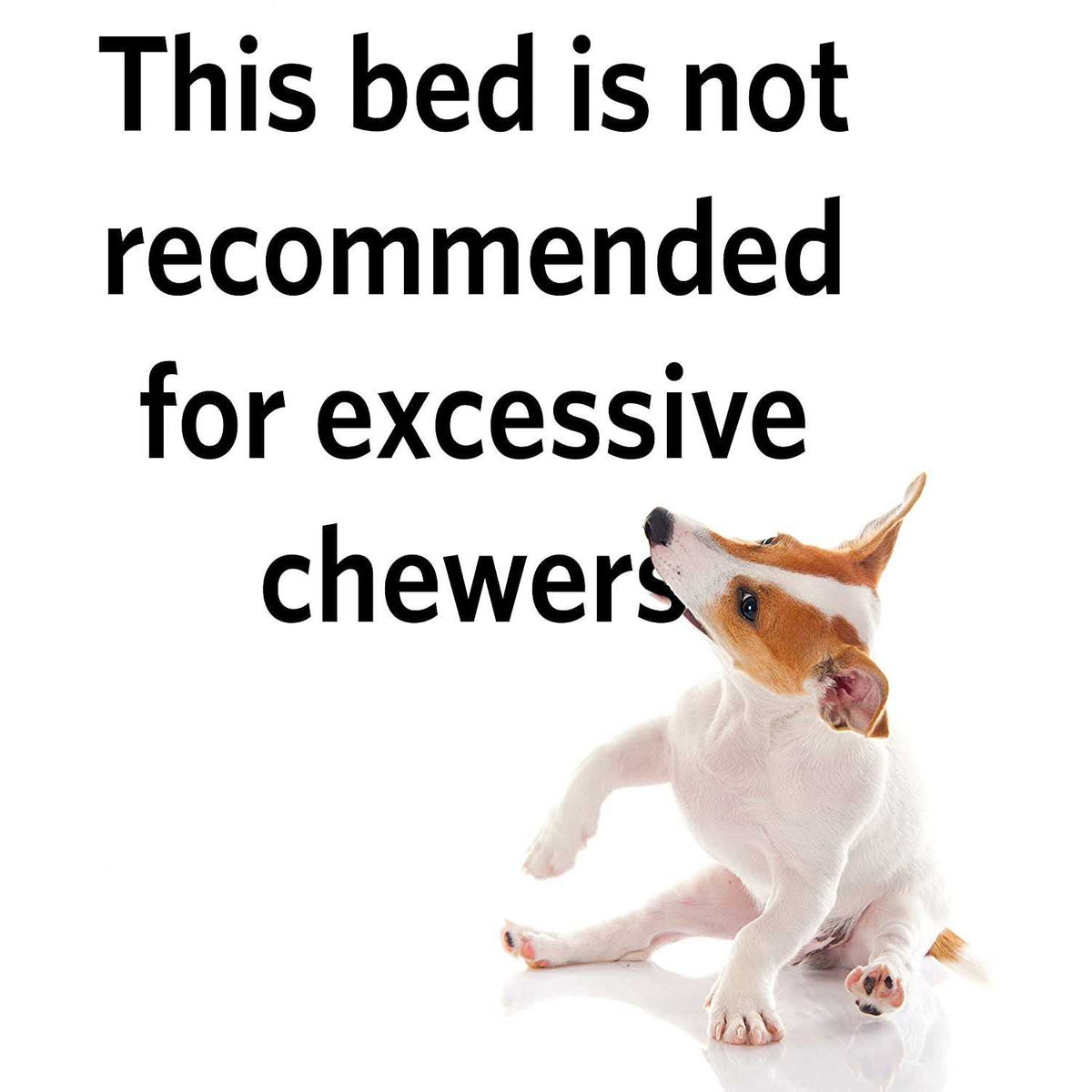 Pet Bed R39887