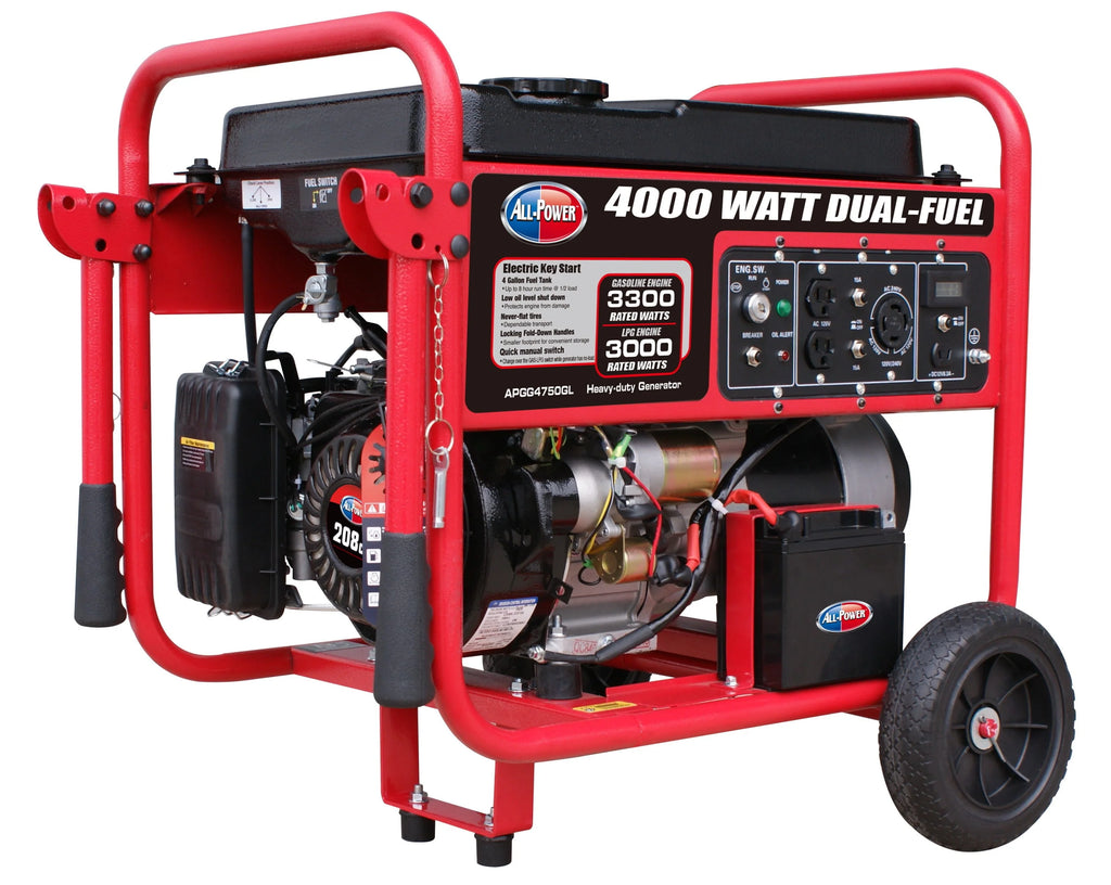 4000 Watt Dual Fuel Portable Generator S225973