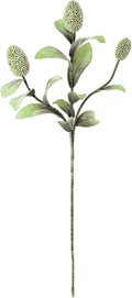 Botanica E3832