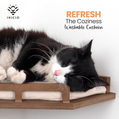 Brown 3 Step Cat Wall Shelves J50603