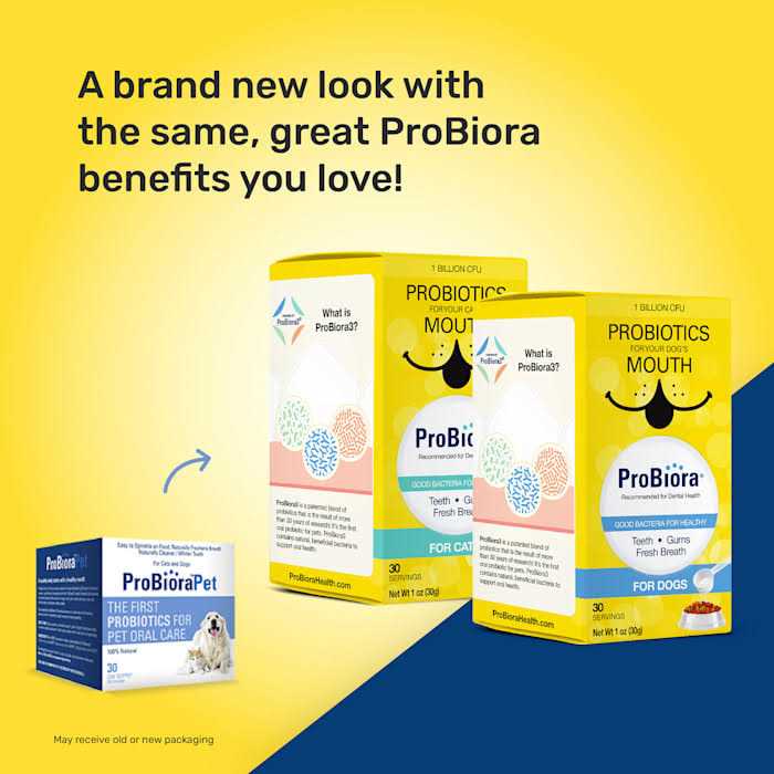 Probiotics for Cats V2924