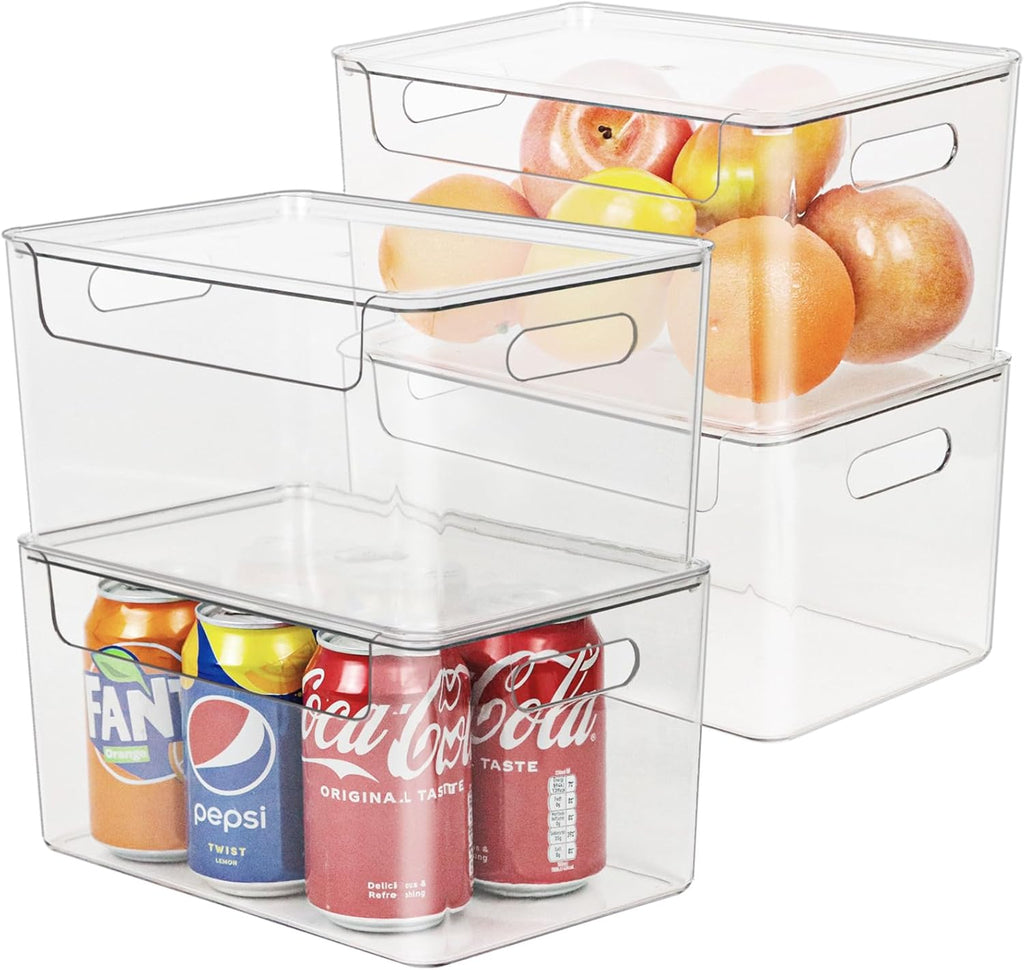 Set of 4 Clear Plastic Storage Bin with Lid W84408