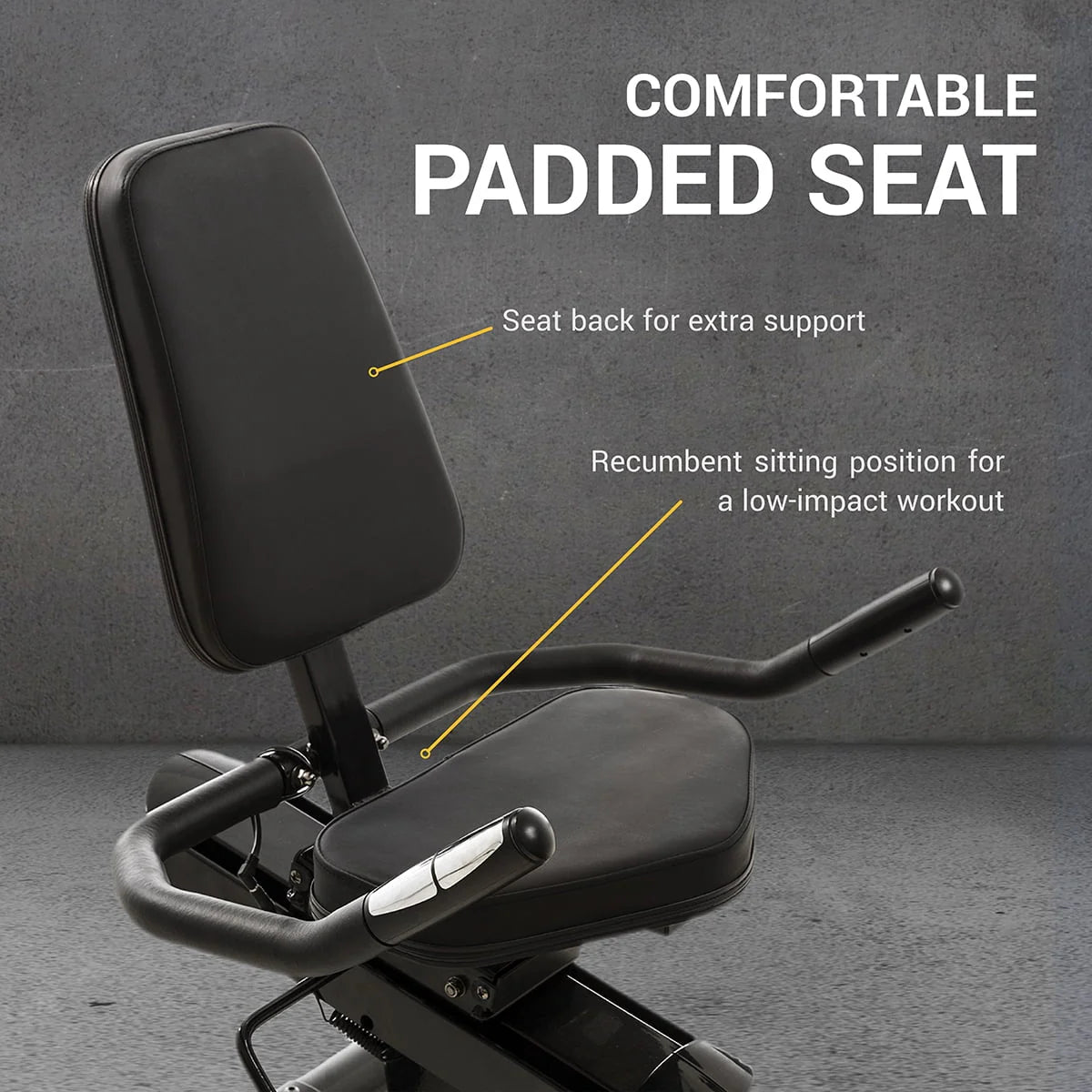 Recumbent Bike I846