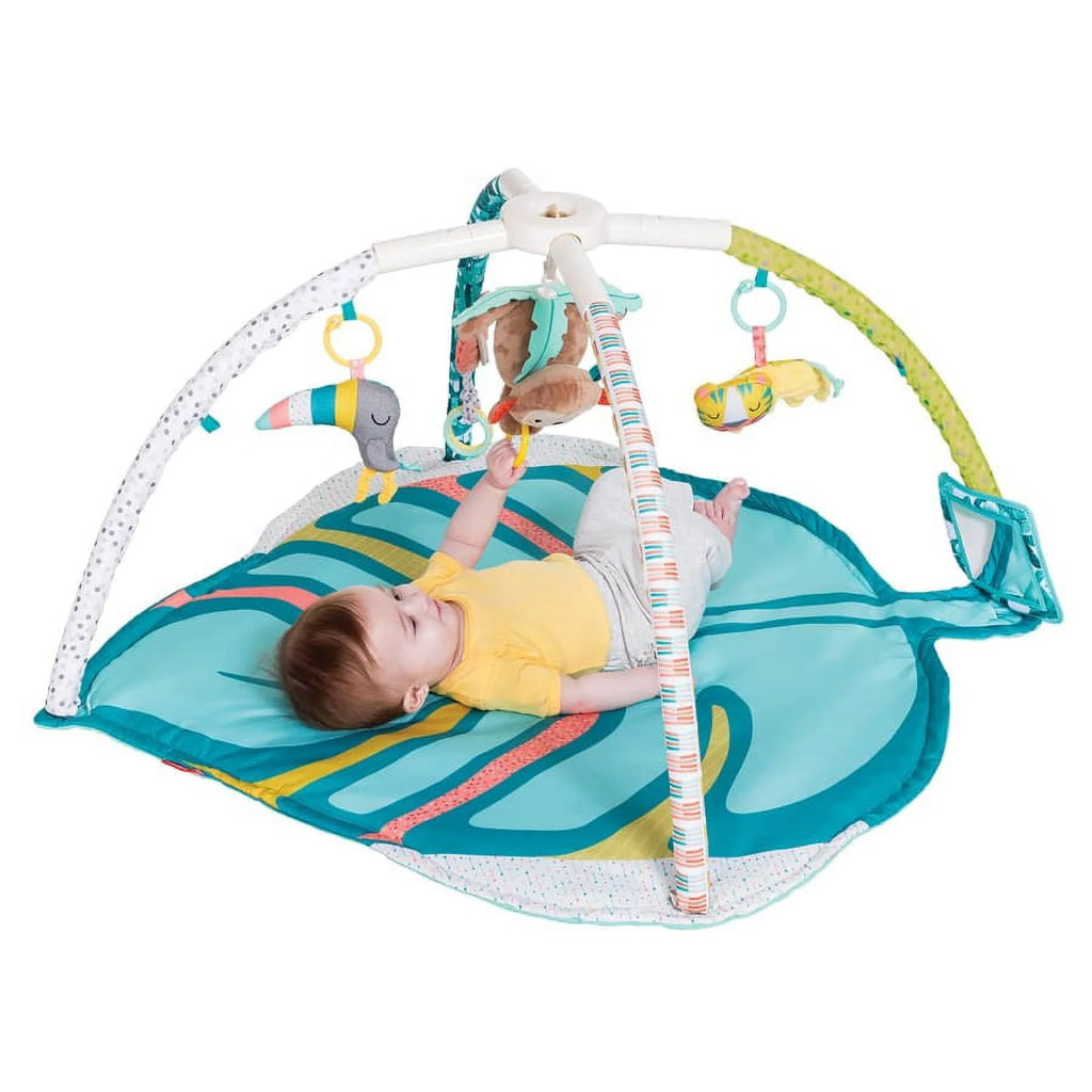 4-in-1 Activity Gym & Play Mat W610