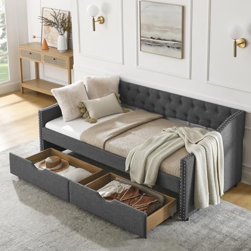 Black Queen Size Upholstered Daybed with 2 Storage Drawers L713